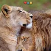 juweyriayusuf1