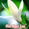 mypham_hoangoclan