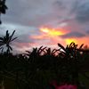 _prasetyo30