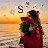 user4968062479446