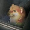 teichems_no.sad