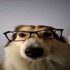 nonnaniq69
