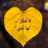 hanymh038