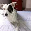 enildisantos