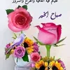 aw_s133
