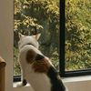 pipipsageri24_