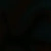 papiinhere_4u