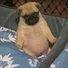 manu_212321