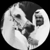 xxop_ll