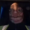 steveconny