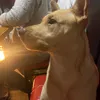 __rocioo_3