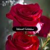 sultanh_almmlakh