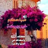 user2954002133855