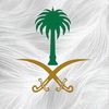aaso_13