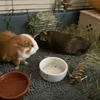benandcookie