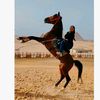 alaamohamed6611