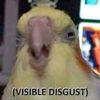 blueflameborb