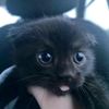mitsi.uwu