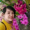 buiphuong2017