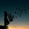 nouralislam52