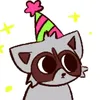 kinne_raccoon