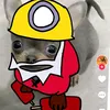 marcos_pro_18