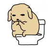 jnrtx.s