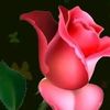 wema590