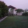 shifasalwaa01