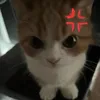 bunrieungonngon6