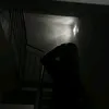 why_xyx