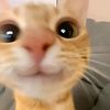 ayaajoo_