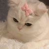 _parkjong_
