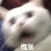 psindodo