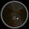 silvi_0276