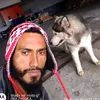 qra_pacoca_ofc