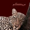 mariam2011z14