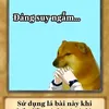 bancuasenbu