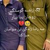 meerzamuranii