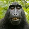 jagomain_epep_