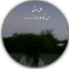 dawar829