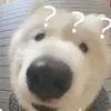 woshiyulan