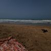 faatimaaay