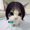 descartes145