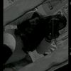 y_reyna15