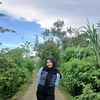 putriditi