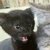 to_nie_smieszne
