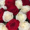 mariam_mansoor2000