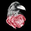 Crow x Rose