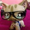 pussylicker09